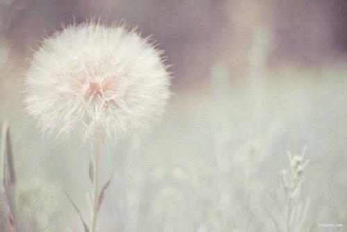 他家暴不是因为他有心理或精神疾病