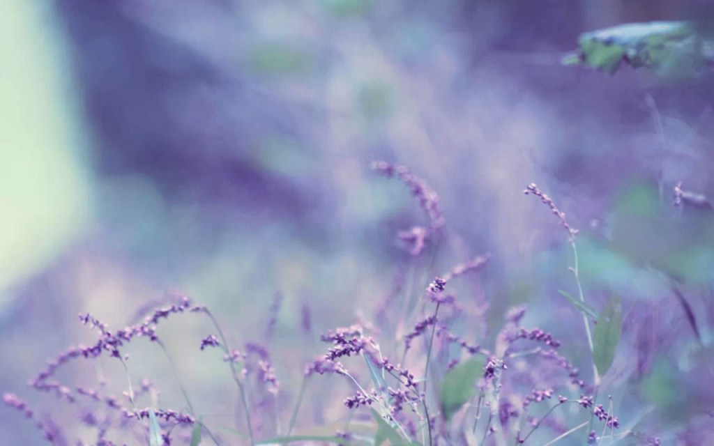 什么是家暴（家庭暴力/虐待 Domestic Abuse）？哪些行为算是家暴？